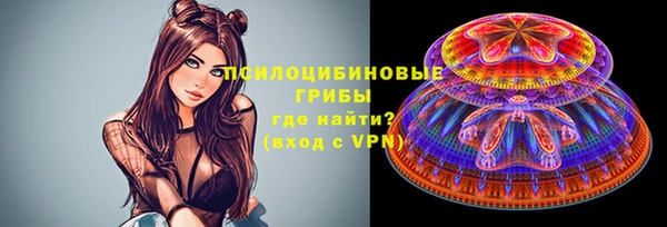 бошки Алексин