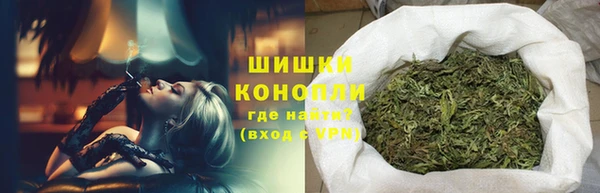 бошки Алексин