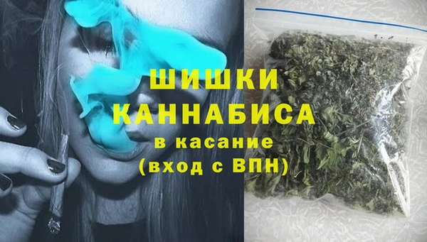 бошки Алексин